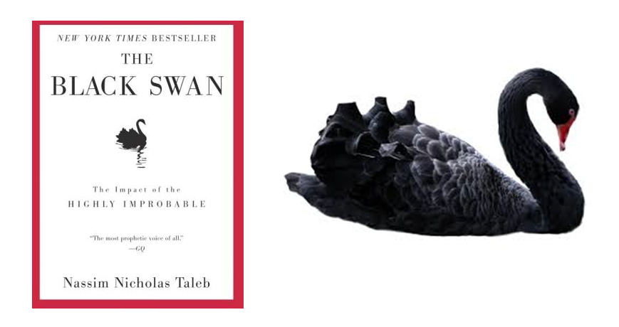 Черный лебедь хср билд. Черный лебедь Талеб. Насим Талеб чёрный лебедь. Теория чёрного лебедя Нассима Талеба. Black Swan книга.